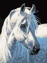 Набор для творчества Белоснежка картина по номерам на холсте 30*40 см Белая лошадь