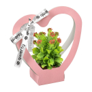 Пакет для цветов QWERTY Сердце с лентой розовый