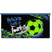 Пенал CENTRUM Графика футбол, плоский на молнии 20,5*10,8 см