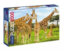 Пазл Hatber Premium Жирафы 2000 элементов, 960х680мм